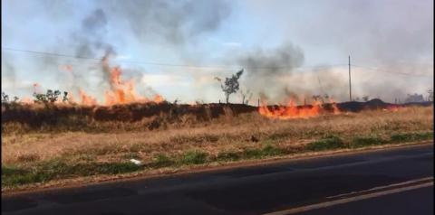 Bombeiros combatem vários focos de incêndio no Distrito Industrial em Uberlândia; veja vídeo