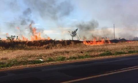 Bombeiros combatem vários focos de incêndio no Distrito Industrial em Uberlândia; veja vídeo